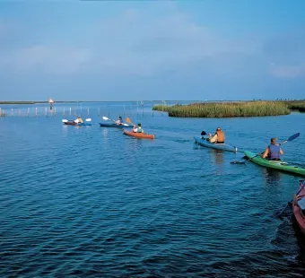 Janes Island is an ideal spot for watersports like kayaking.