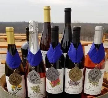 Bottles of Wine Photo