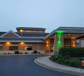 Comfort Inn & Suites-North East Photo