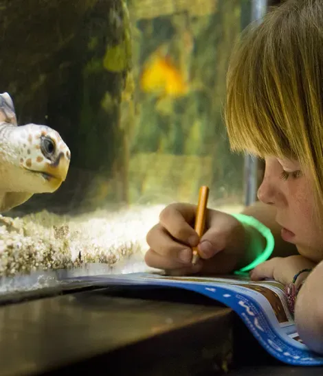 turtle and girl at Aquarium