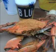 Crab and the Blu logo Photo